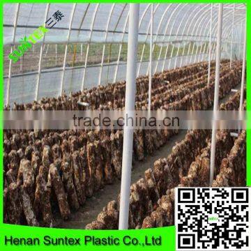 uv Protection Anti Fog Greenhouse Cover Film for Multi-span Vegetable Planting photo-5