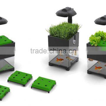 New development mini aquaponics fish tank for sale