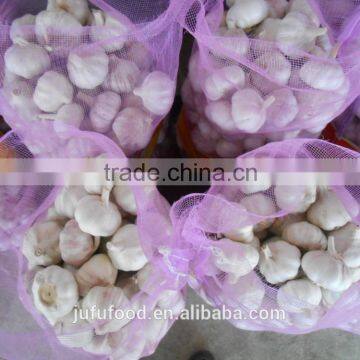 4.5CM PURE WHITE GARLIC AND NORMAL WHITE GARLIC
