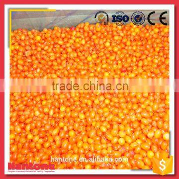 IQF Sea Buckthorn Fresh Frozen