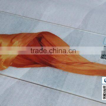 Ceramic digital printing glass ( Tempered Glass, Hollow Glass, Anti-Fire Glass,Hot Bending Glas)