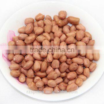 Chinese good quality round type peanut kernels/groundnut kernels