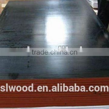 film faced plywood for construction with eucalyptus core