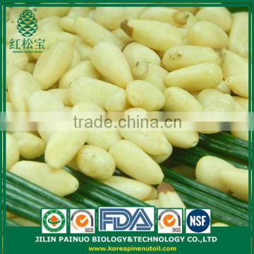 China Supplier High Quality Siberian Pine Nut Kernels for Deep Using