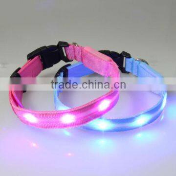 colourful led dog collar