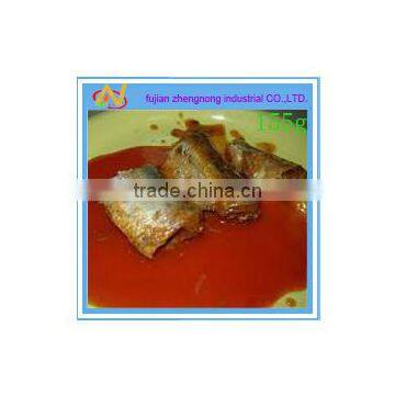 spain 155g canned mackerel fish in tomato sauce(ZNMT0069)