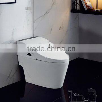 smart toilet TC-38804