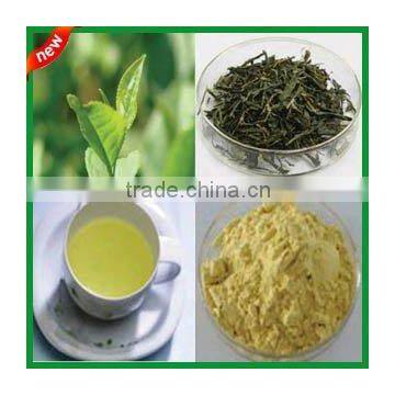 Instant Green Tea Powder for Health food additive