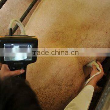 best vet ultrasound scanner for cow