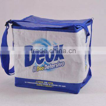 pp woven cooler bag