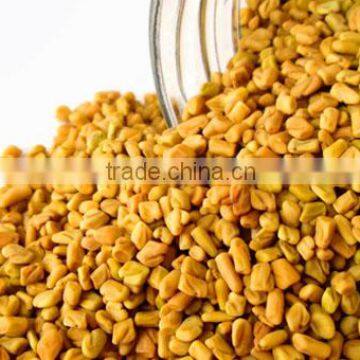 High Grade Fenugreek Seed