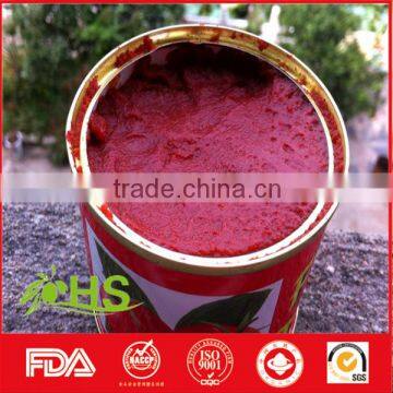 Wholesale Canned Tomato Paste/tomato Ketchup photo-2