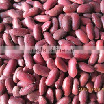 Red Kindney Bean For Sale photo-1