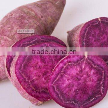 Fresh Sweet purple Potato/red skin potato