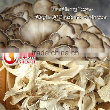 Chestnut Mushroom Grifola Frondosa Cooking to Eat photo-4