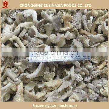 cultivated frozen oyster mushroom price best