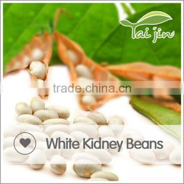 High Quality White Kidney Beans On Sale