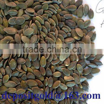 grown without shell pumpkin seeds Grade AA