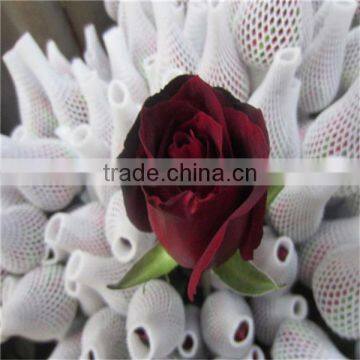 Supply Grade A Fresh Cut Flowers Black Rose photo-2