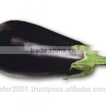 Eggplant Seeds - High Yield High Quality High Resistant Seeds for Planting