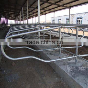 China Supplier 2015 Wholesale Cow Free Stall Dairy Barns