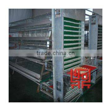 DT A type or H type automatic chicken cage layer cage for sale