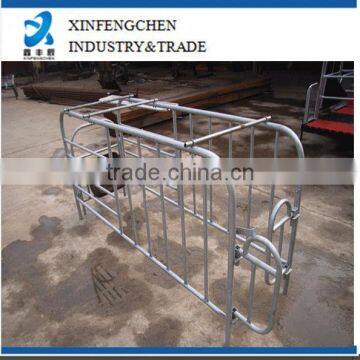 Poultry equipment,galvanized gestation stall