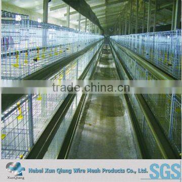 High Quality Automatic Layer Chicken Cages/chicken Egg Layer Cage/egg Layers Cage Design photo-2