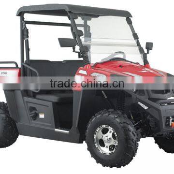 250cc 12KW EFI engine UTV Utility Vehicle (TKU250E-2B)