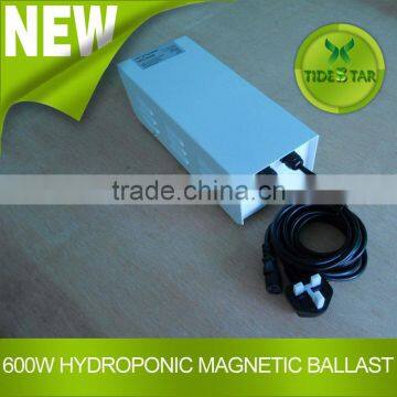 Hydroponic Grow light HID magnetic ballast 600w for indoor plant growth lighting