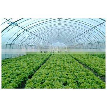 Tunnel Greenhouses With Supporting Systems photo-3