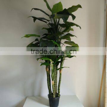 fake radermachera artificial decorativa plant tall plant