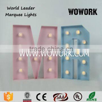 Festival LED Light