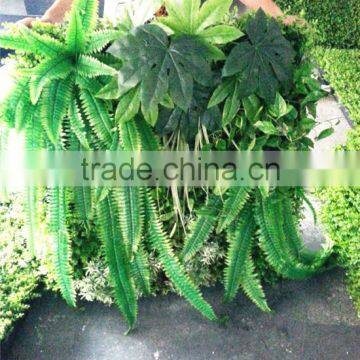 2017 factory price hot sale plastic plant wall artificial wall sale