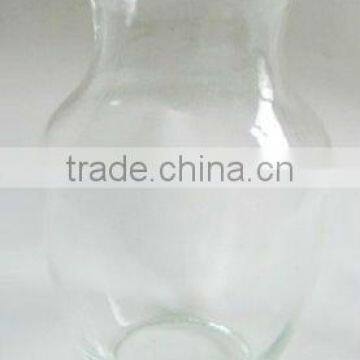 classical glass flower vase terrarium GV15