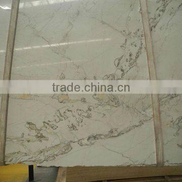 Special Patterns Imported Marble Slab