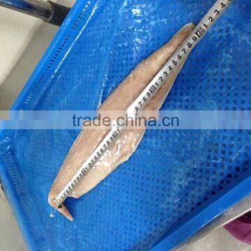 Fast Delivery Sea Frozen Mahi Mahi Fillet With Whole Round photo-3