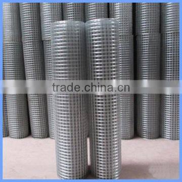 Galvanized Welded Wire Mesh/pvc Coated Welded Wire Mesh photo-2