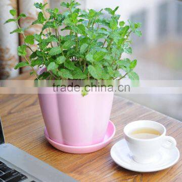 Hot Sale Melamine Flower Pot Top Quality photo-4