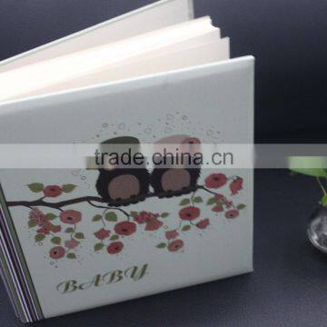 High quality handmade Acrylic photo album for wholesale price