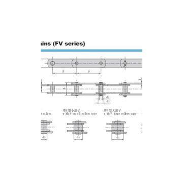 FV Series Conveyor Chains