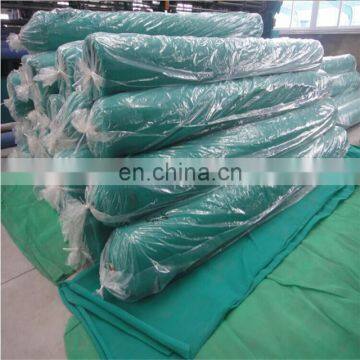 Golder supplier made construction building scaffolding mesh for USA market