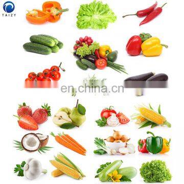 Orange Lemon Carrot Cleaner Machine Fruits and Vegetables Cleaning Equipment Vegetable Washer