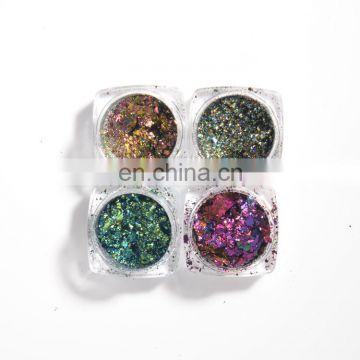 Rainbow Color Brocade Pigment Nail Art Powder Nail Chameleon Powder