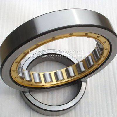 Slewing ring bearing YRTC200-XL