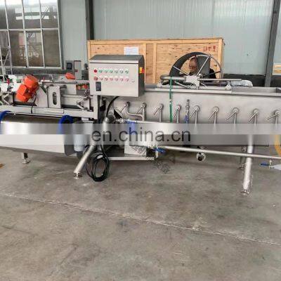 Industrial Complete Automatic Fresh Leaf Vegetables Processing Machine Line With Cutting Washing and Drying Equipment photo-3