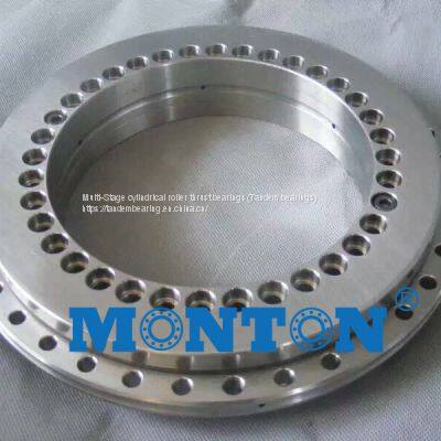 YRT395 395*525*65mm YRT Rotary Table Bearing
