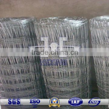 Galvanized Farm Fence/Grassland Fence from Anping Factory