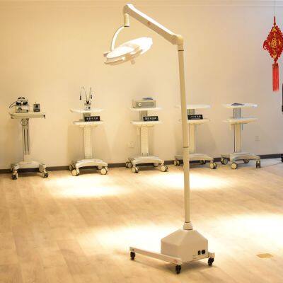 108W LED Plastic Surgery Veterinary Medical Oral Implants Mobile Shadowless Operation Lamp photo-2