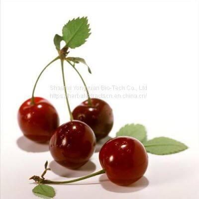 Tart Cherry Extract, Black Cherry Extract 5:1, Vitamin C 5%,17%, Prunus serotina fruit juice powder, Acerola Extract, Yongyuan Bio